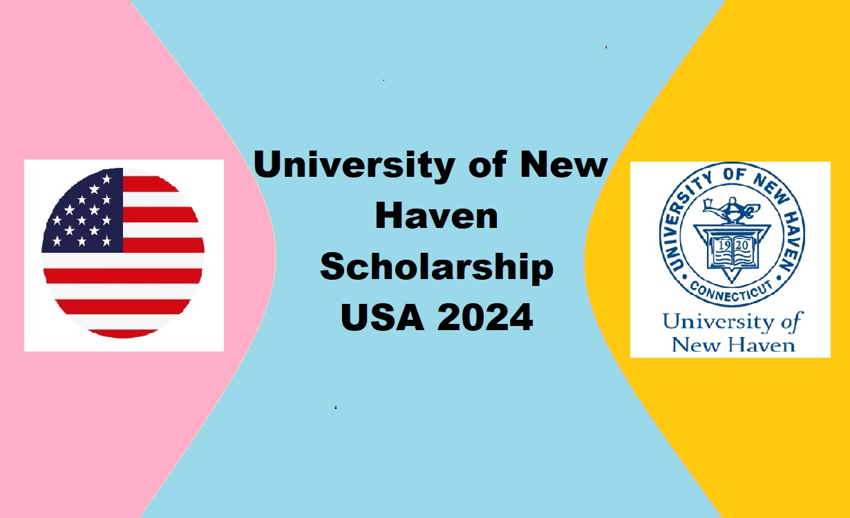 University of New Haven Scholarship USA (2023-2024) - Study in America